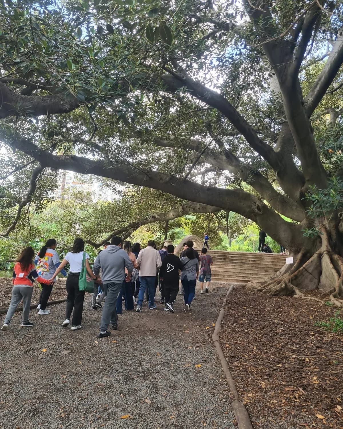 Caminata bajo los árboles del Ecoparque de Buenos Aires