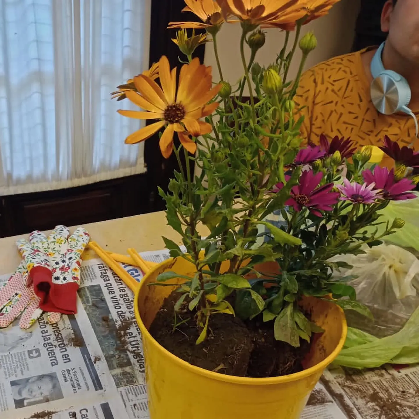 Maceta con flores plantada en el taller