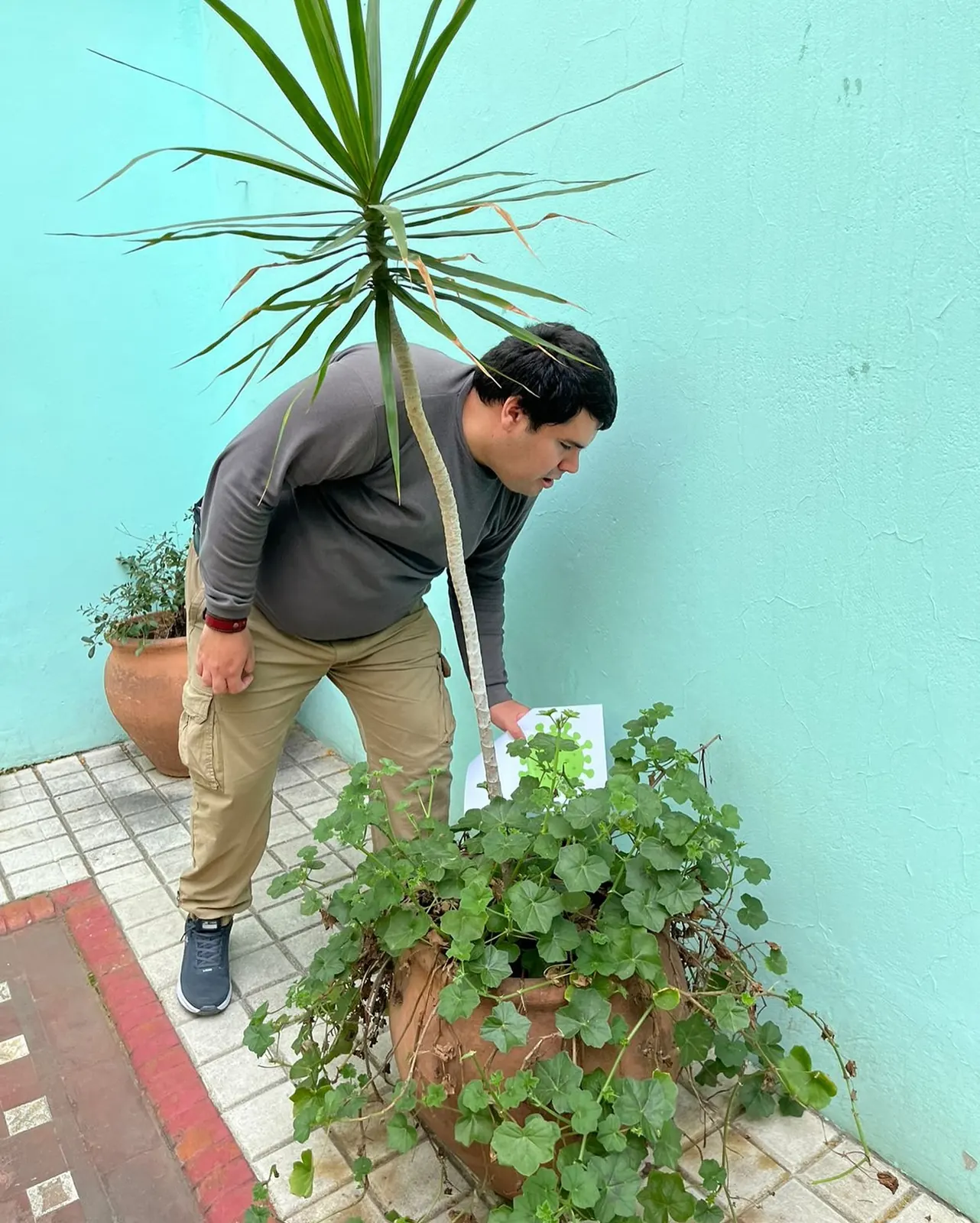 Un concurrente riega las plantas del patio